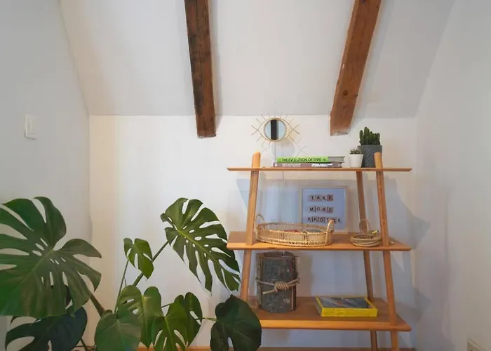 アパート Contemporary Boho Style Loft Center ソフィア