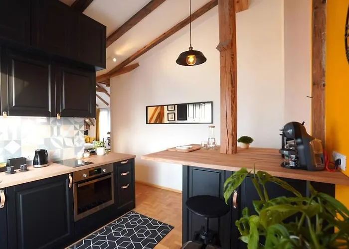 Appartement Contemporary Boho Style Loft Center *