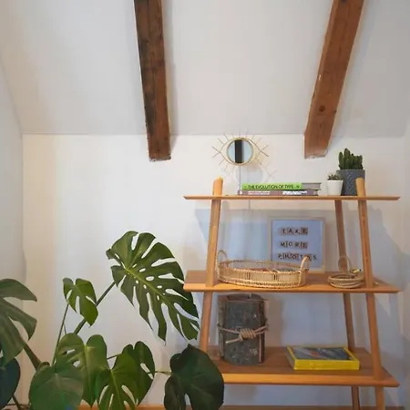 Apartment Contemporary Boho Style Loft Center Sofia